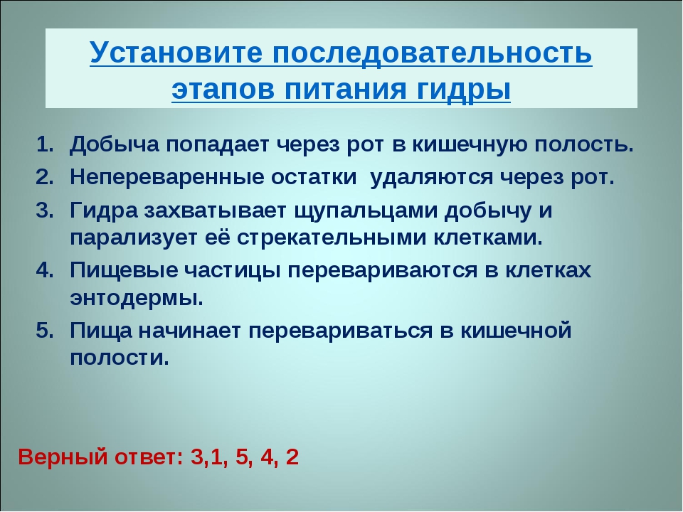 Как найти kraken