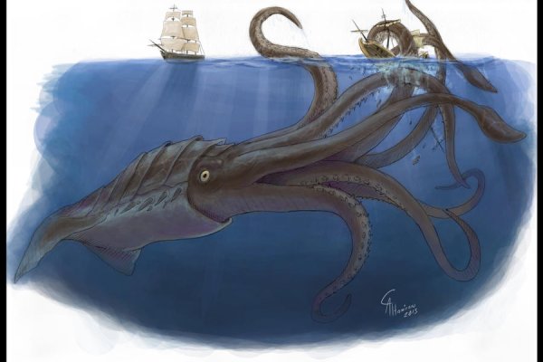 Kraken whitenet официальный сайт